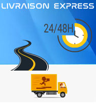 Livraison express en pièces de carrosserie