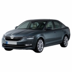 Voir les Pièces de carrosserie pour SKODA OCTAVIA 3 (5E) phase 2 du 04/2017 au 12/2019