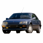 Voir les Pièces de carrosserie pour RENAULT R25