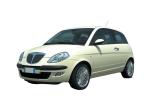 Voir les Pièces de carrosserie pour LANCIA YPSILON