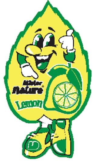 Accéder à la pièce DÉSODORISANT PINE CITRON (MINLOT 24 UNITÉS)