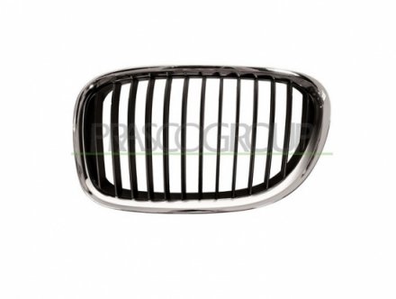 Accéder à la pièce Entourage grille de calandre gauche