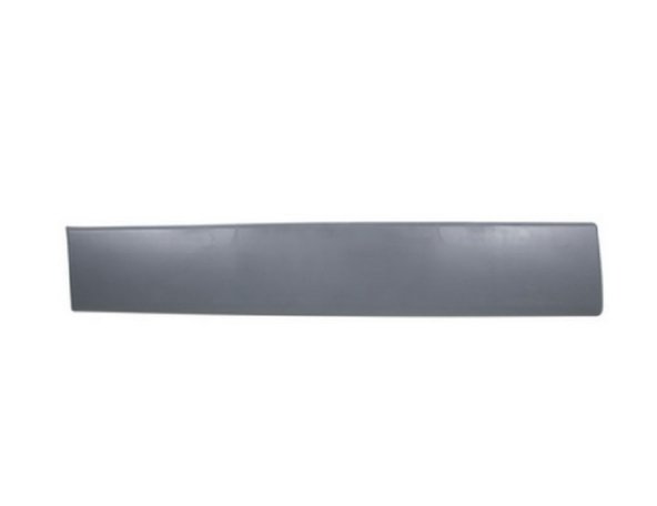 Accéder à la pièce Baguette de porte arrière droite noire avec clips