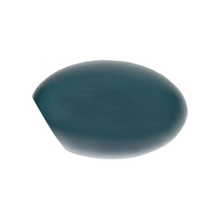 Accéder à la pièce Coque rétroviseur gauche à peindre